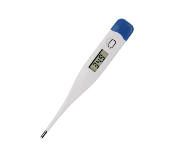 Digital Thermometer - LED Display