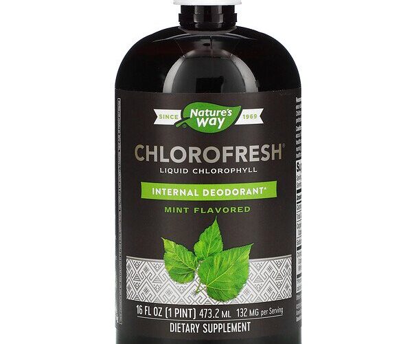 Nature's Way, Chlorofresh, Liquid Chlorophyll, Mint, 132 mg, 16 fl oz (473.2 ml)